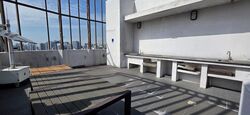 Neem Tree (D12), Apartment #451430011